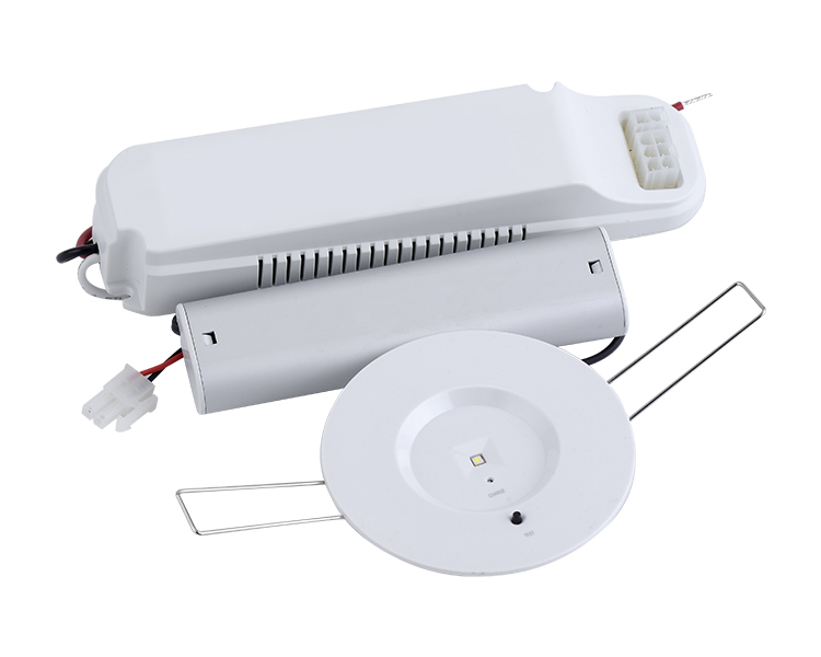 D40-R-1 Down Downlight