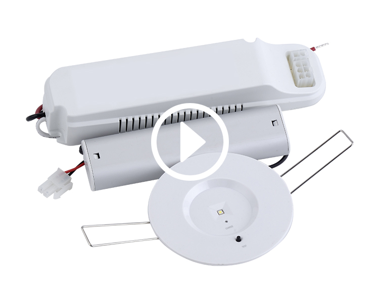 D40-R-1 Down Downlight