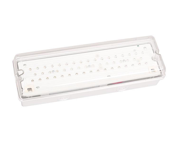 LE502L IP65 50LLD Waterproof Light