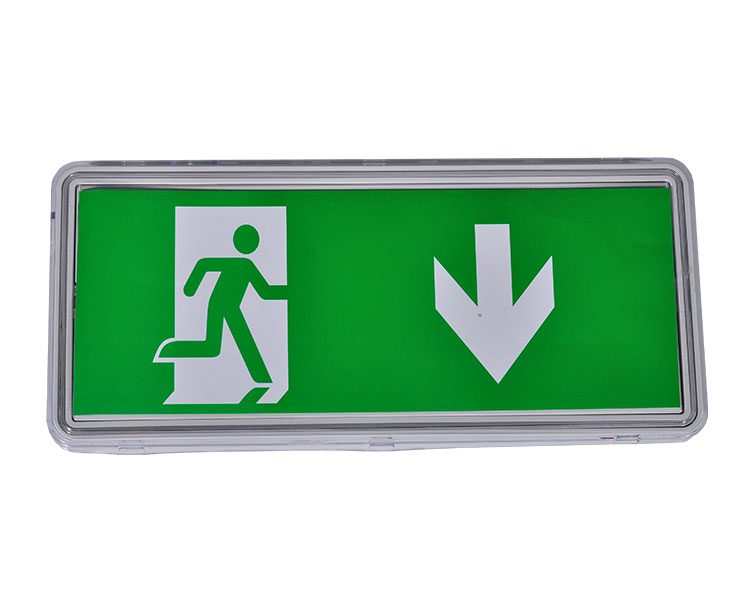 LE515-21 Przezroczyste dyfuzor poliwęglanu 21LED Waterproof Luminaires