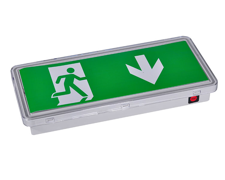 LE515-21 Przezroczyste dyfuzor poliwęglanu 21LED Waterproof Luminaires
